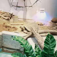 ニフレルの写真・動画_image_1110224
