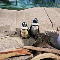 ニフレルの写真・動画_image_1110226