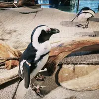 ニフレルの写真・動画_image_1110227