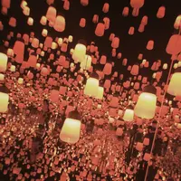 【閉業】森ビルデジタルアートミュージアム：エプソン チームラボボーダレス（MORI Building Digital Art Museum: EPSON teamLab Borderless）の写真・動画_image_1110752
