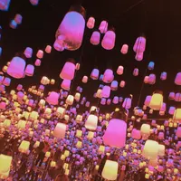 【閉業】森ビルデジタルアートミュージアム：エプソン チームラボボーダレス（MORI Building Digital Art Museum: EPSON teamLab Borderless）の写真・動画_image_1110753