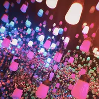 【閉業】森ビルデジタルアートミュージアム：エプソン チームラボボーダレス（MORI Building Digital Art Museum: EPSON teamLab Borderless）の写真・動画_image_1110754