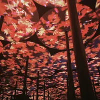 【閉業】森ビルデジタルアートミュージアム：エプソン チームラボボーダレス（MORI Building Digital Art Museum: EPSON teamLab Borderless）の写真・動画_image_1110756