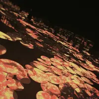 【閉業】森ビルデジタルアートミュージアム：エプソン チームラボボーダレス（MORI Building Digital Art Museum: EPSON teamLab Borderless）の写真・動画_image_1110757