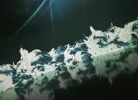 【閉業】森ビルデジタルアートミュージアム：エプソン チームラボボーダレス（MORI Building Digital Art Museum: EPSON teamLab Borderless）の写真・動画_image_1110758