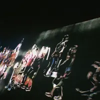 【閉業】森ビルデジタルアートミュージアム：エプソン チームラボボーダレス（MORI Building Digital Art Museum: EPSON teamLab Borderless）の写真・動画_image_1110759