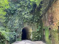 猿島の写真・動画_image_1111309