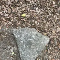 龍神橋の写真・動画_image_1118254