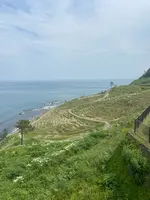 道の駅千枚田（輪島千枚田レストハウス）の写真・動画_image_1118340
