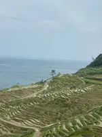 道の駅千枚田（輪島千枚田レストハウス）の写真・動画_image_1118341