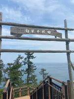 道の駅千枚田（輪島千枚田レストハウス）の写真・動画_image_1118343