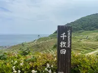 道の駅千枚田（輪島千枚田レストハウス）の写真・動画_image_1118345