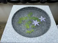 磐台寺の写真・動画_image_1118442