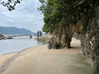 仙酔島の写真・動画_image_1118481