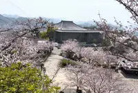 千光寺公園の写真・動画_image_1119638