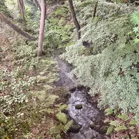 ホテル椿山荘東京の写真・動画_image_1126507