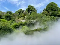 ホテル椿山荘東京の写真・動画_image_1126509
