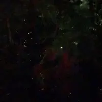 ホテル椿山荘東京の写真・動画_image_1126510
