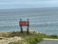 花咲灯台の写真・動画_image_1128016