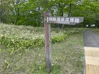 釧路湿原　ふれあい広場の写真・動画_image_1128520