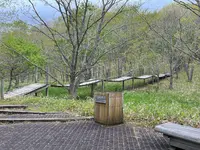 釧路湿原　吊り橋の写真・動画_image_1128710