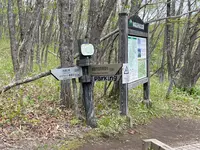釧路湿原　吊り橋の写真・動画_image_1128712