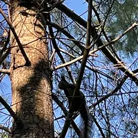 ホテル大平原の写真・動画_image_1128721
