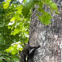 ホテル大平原の写真・動画_image_1128723
