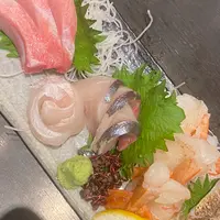 春駒（はるこま）の写真・動画_image_1130208