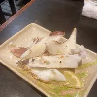 春駒（はるこま）の写真・動画_image_1130210