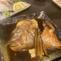 春駒（はるこま）の写真・動画_image_1130213