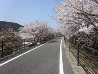 片鉄ロマン街道サイクリング道の写真・動画_image_1132266