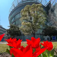 都立シンボルプロムナード公園　の写真・動画_image_1134774
