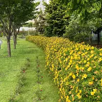 シンボルプロムナード公園 センタープロムナードの写真・動画_image_1134779
