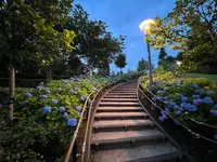 シンボルプロムナード公園 センタープロムナードの写真・動画_image_1134780