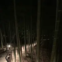 ふふ 奈良の写真・動画_image_1137457