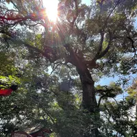 黒龍堂の写真・動画_image_1139017