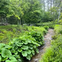 しもさかの写真・動画_image_1150566