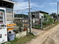 有明浜ホースパークの写真・動画_image_1153779