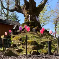 熊野皇大神社の写真・動画_image_1154556