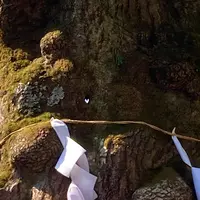 熊野皇大神社の写真・動画_image_1154557