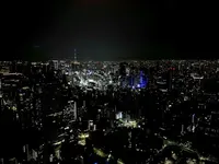 東京タワーの写真・動画_image_1156044