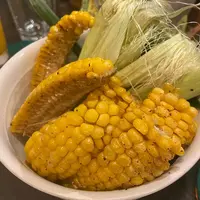 アヒルの写真・動画_image_1156312