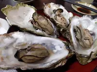 近江町市場寿しの写真・動画_image_1157518