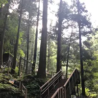 洒水の滝の写真・動画_image_1172852