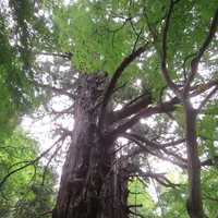 偕楽園の写真・動画_image_1177945