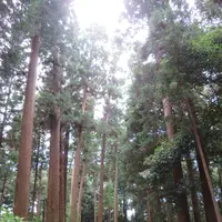 偕楽園の写真・動画_image_1177946