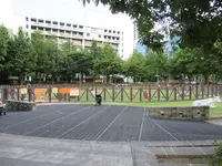信義区信義広場狗活動区の写真・動画_image_1181693