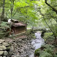 スカイバレーキャンプ場の写真・動画_image_1182035