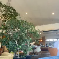 TREX CHIGASAKI OCEAN CAFEの写真・動画_image_1189886